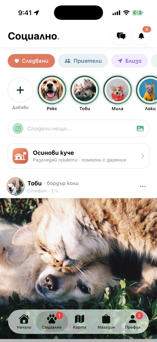 OhPuppy – новини от развъдника